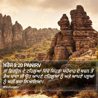 ਖ਼ਰੋਜ 9:20 PANIRV Bible Verse Image