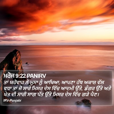 ਖ਼ਰੋਜ 9:22 PANIRV Bible Verse Image