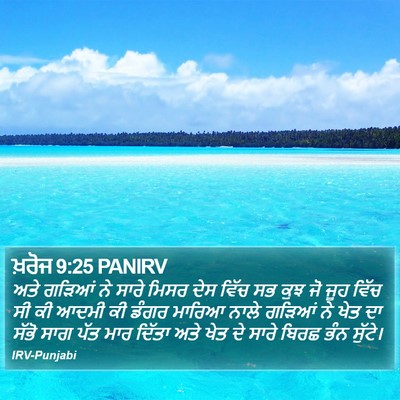 ਖ਼ਰੋਜ 9:25 PANIRV Bible Verse Image