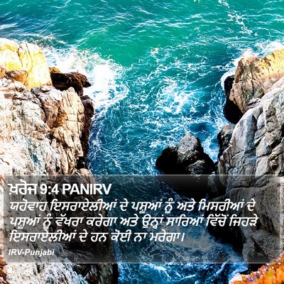 ਖ਼ਰੋਜ 9:4 PANIRV Bible Verse Image