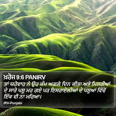 ਖ਼ਰੋਜ 9:6 PANIRV Bible Verse Image
