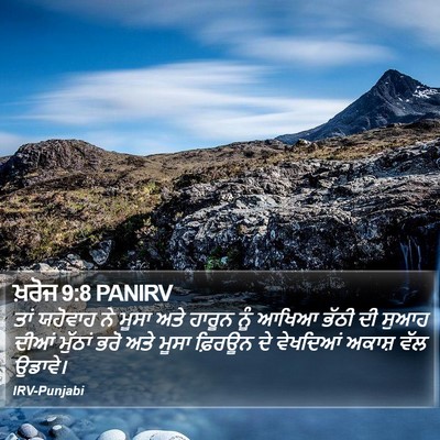 ਖ਼ਰੋਜ 9:8 PANIRV Bible Verse Image