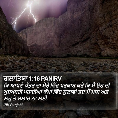 ਗਲਾਤਿਯਾ 1:16 PANIRV Bible Verse Image