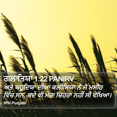 ਗਲਾਤਿਯਾ 1:22 PANIRV Bible Verse Image
