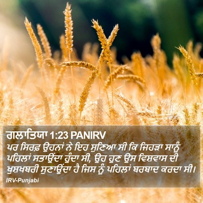 ਗਲਾਤਿਯਾ 1:23 PANIRV Bible Verse Image