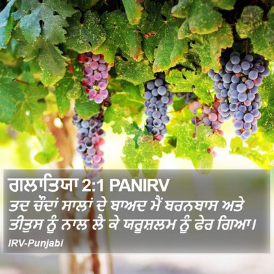 ਗਲਾਤਿਯਾ 2:1 PANIRV Bible Verse Image