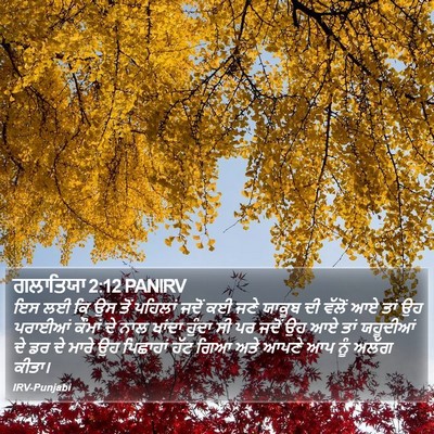 ਗਲਾਤਿਯਾ 2:12 PANIRV Bible Verse Image
