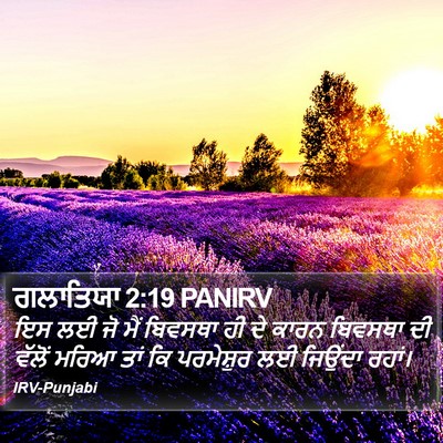 ਗਲਾਤਿਯਾ 2:19 PANIRV Bible Verse Image