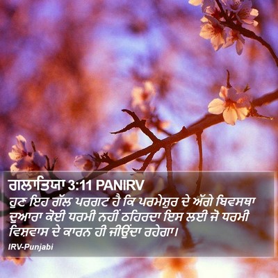 ਗਲਾਤਿਯਾ 3:11 PANIRV Bible Verse Image