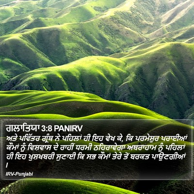 ਗਲਾਤਿਯਾ 3:8 PANIRV Bible Verse Image