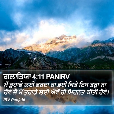 ਗਲਾਤਿਯਾ 4:11 PANIRV Bible Verse Image