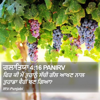 ਗਲਾਤਿਯਾ 4:16 PANIRV Bible Verse Image