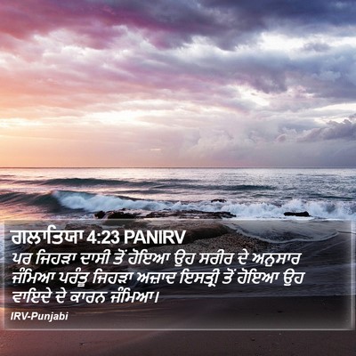 ਗਲਾਤਿਯਾ 4:23 PANIRV Bible Verse Image