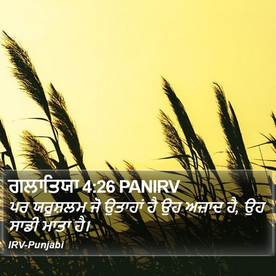 ਗਲਾਤਿਯਾ 4:26 PANIRV Bible Verse Image