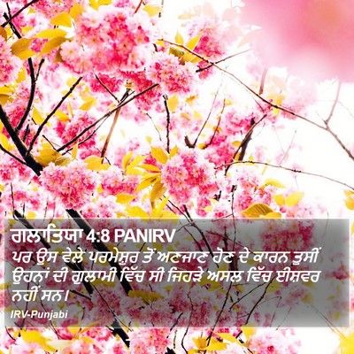 ਗਲਾਤਿਯਾ 4:8 PANIRV Bible Verse Image