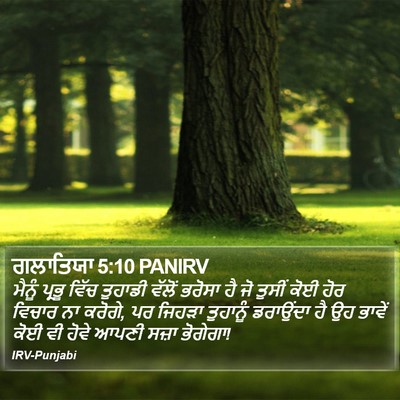 ਗਲਾਤਿਯਾ 5:10 PANIRV Bible Verse Image