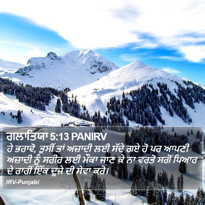 ਗਲਾਤਿਯਾ 5:13 PANIRV Bible Verse Image