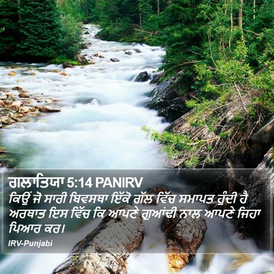 ਗਲਾਤਿਯਾ 5:14 PANIRV Bible Verse Image