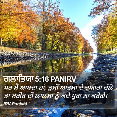 ਗਲਾਤਿਯਾ 5:16 PANIRV Bible Verse Image