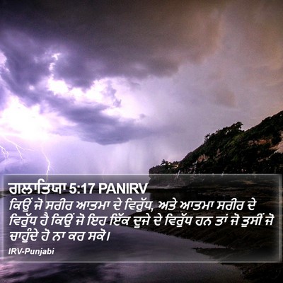 ਗਲਾਤਿਯਾ 5:17 PANIRV Bible Verse Image