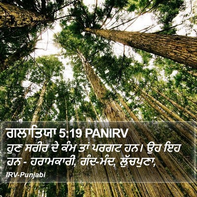 ਗਲਾਤਿਯਾ 5:19 PANIRV Bible Verse Image