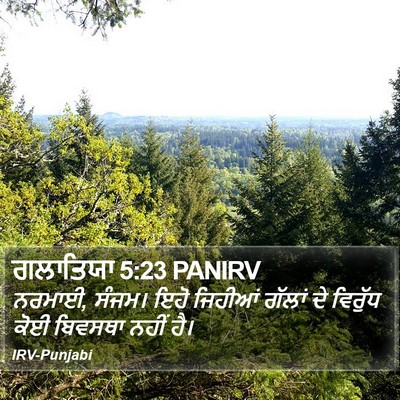 ਗਲਾਤਿਯਾ 5:23 PANIRV Bible Verse Image