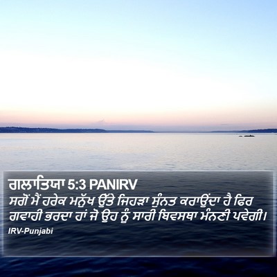 ਗਲਾਤਿਯਾ 5:3 PANIRV Bible Verse Image