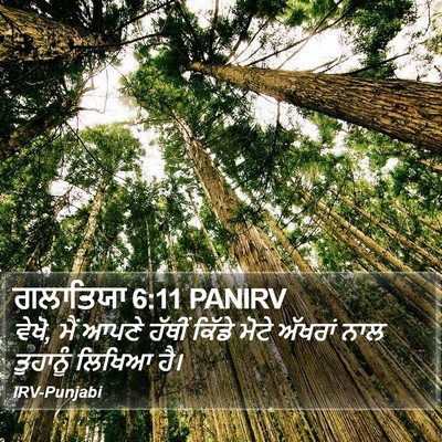 ਗਲਾਤਿਯਾ 6:11 PANIRV Bible Verse Image