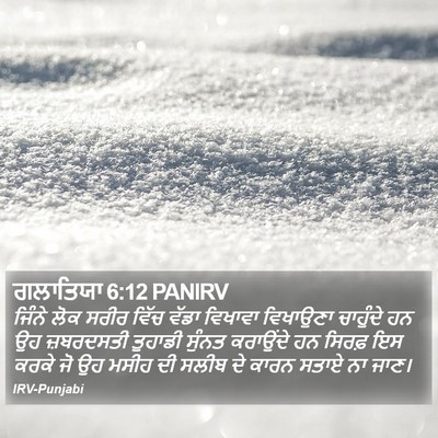 ਗਲਾਤਿਯਾ 6:12 PANIRV Bible Verse Image