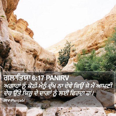ਗਲਾਤਿਯਾ 6:17 PANIRV Bible Verse Image