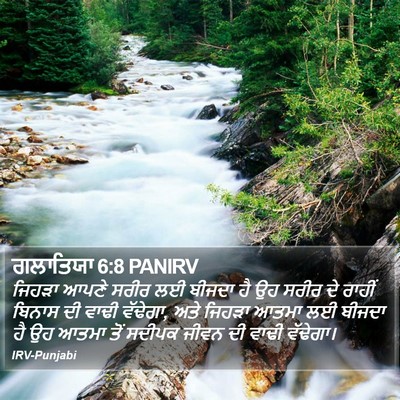 ਗਲਾਤਿਯਾ 6:8 PANIRV Bible Verse Image