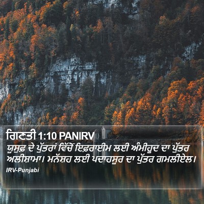 ਗਿਣਤੀ 1:10 PANIRV Bible Verse Image