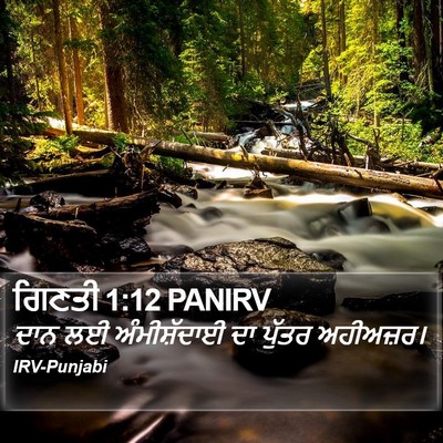 ਗਿਣਤੀ 1:12 PANIRV Bible Verse Image