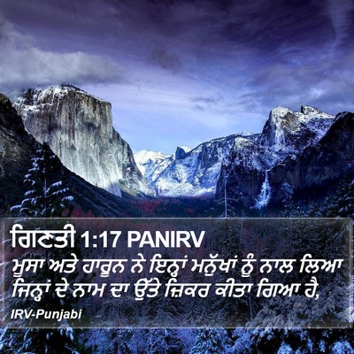 ਗਿਣਤੀ 1:17 PANIRV Bible Verse Image