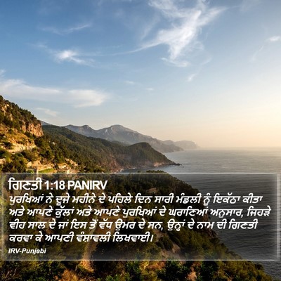 ਗਿਣਤੀ 1:18 PANIRV Bible Verse Image