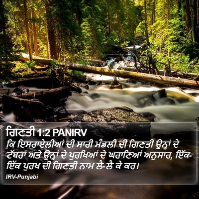 ਗਿਣਤੀ 1:2 PANIRV Bible Verse Image