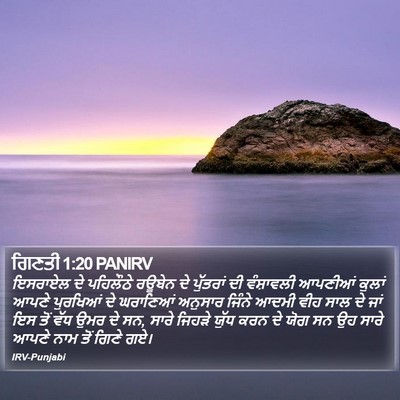ਗਿਣਤੀ 1:20 PANIRV Bible Verse Image
