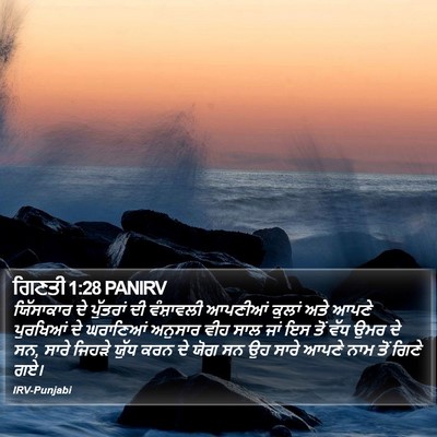 ਗਿਣਤੀ 1:28 PANIRV Bible Verse Image