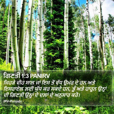 ਗਿਣਤੀ 1:3 PANIRV Bible Verse Image