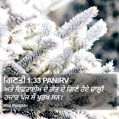ਗਿਣਤੀ 1:33 PANIRV Bible Verse Image