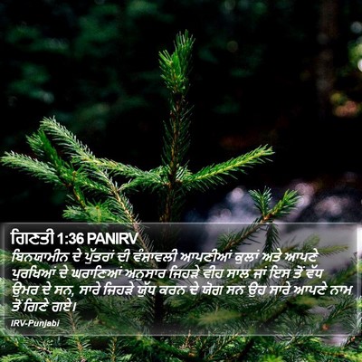 ਗਿਣਤੀ 1:36 PANIRV Bible Verse Image