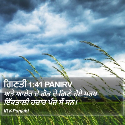 ਗਿਣਤੀ 1:41 PANIRV Bible Verse Image