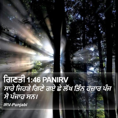 ਗਿਣਤੀ 1:46 PANIRV Bible Verse Image