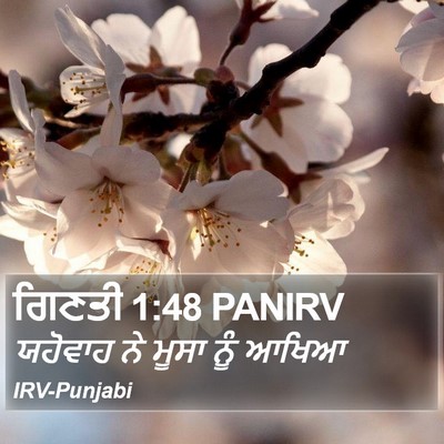 ਗਿਣਤੀ 1:48 PANIRV Bible Verse Image