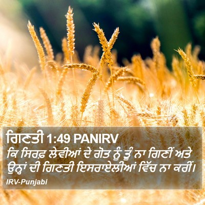 ਗਿਣਤੀ 1:49 PANIRV Bible Verse Image