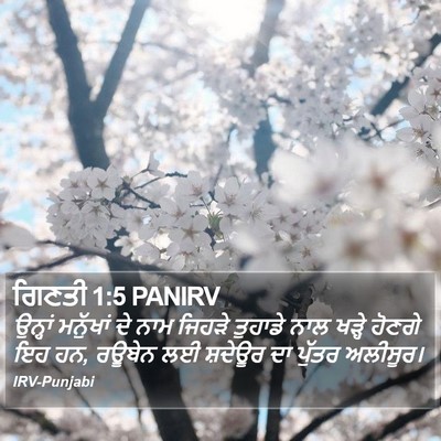 ਗਿਣਤੀ 1:5 PANIRV Bible Verse Image
