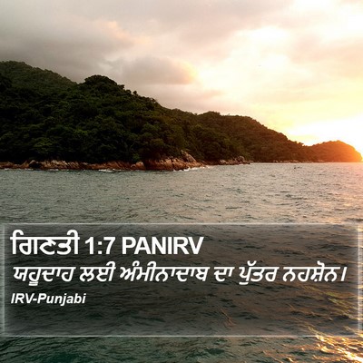 ਗਿਣਤੀ 1:7 PANIRV Bible Verse Image
