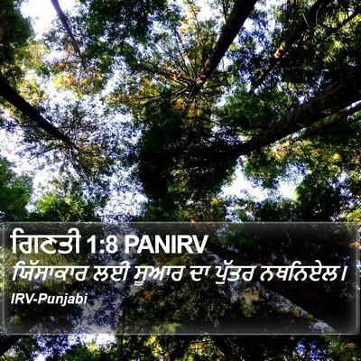 ਗਿਣਤੀ 1:8 PANIRV Bible Verse Image
