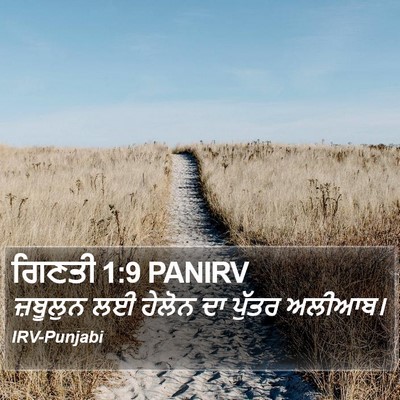 ਗਿਣਤੀ 1:9 PANIRV Bible Verse Image
