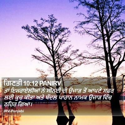 ਗਿਣਤੀ 10:12 PANIRV Bible Verse Image